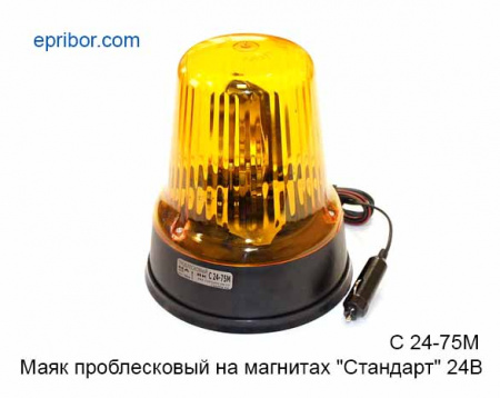 00-00003259_image