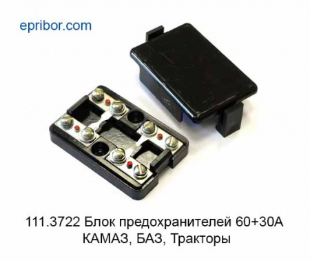 00-00002031_image
