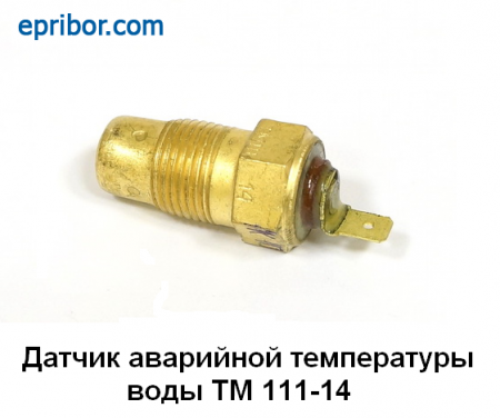 00-00005535_image