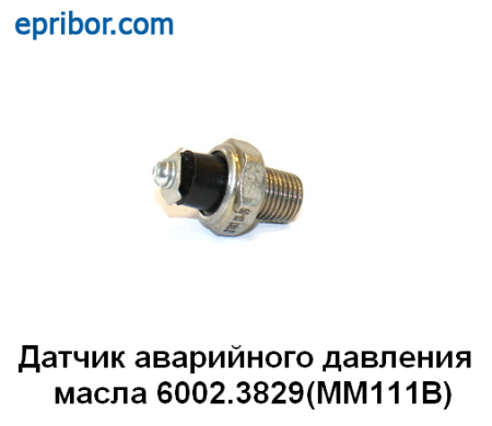 00-00004013_image
