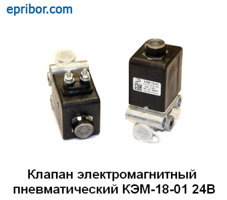 00-00004491_image